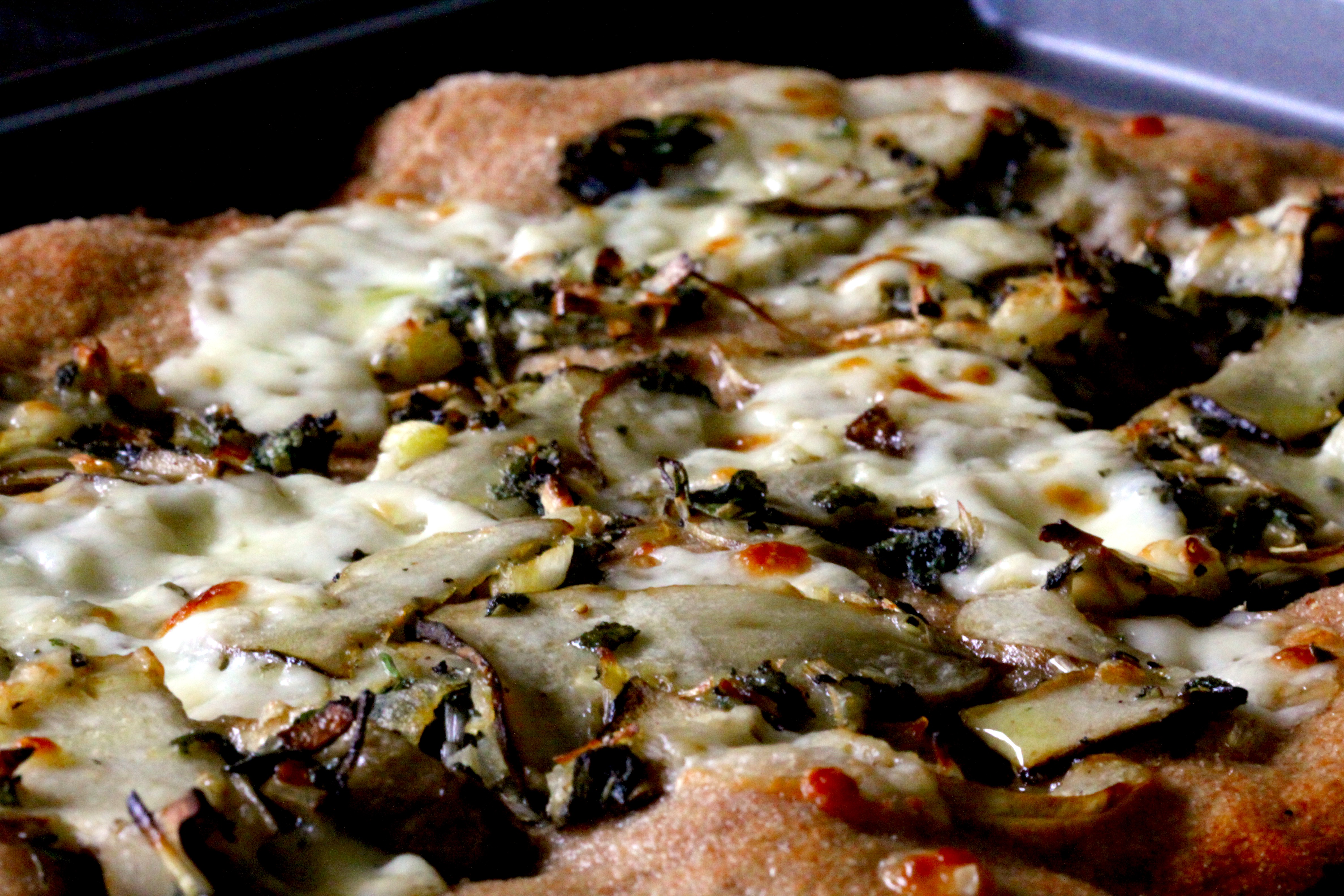 Morel mushroom pizza2