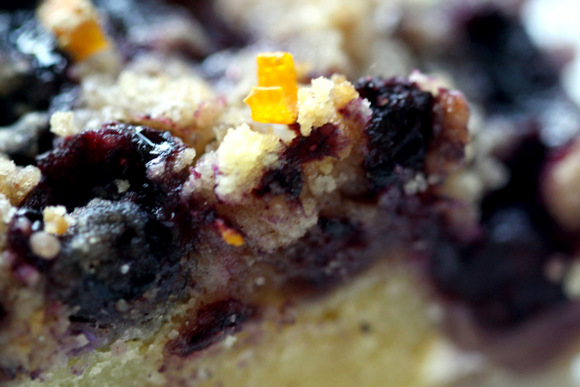 blueberry coffee cake8