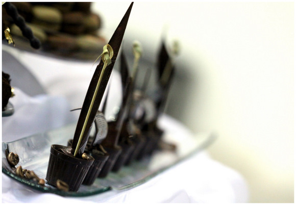 Choco'a gourmet chocolate for the edible bridal dress
