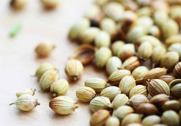 corianderseeds1