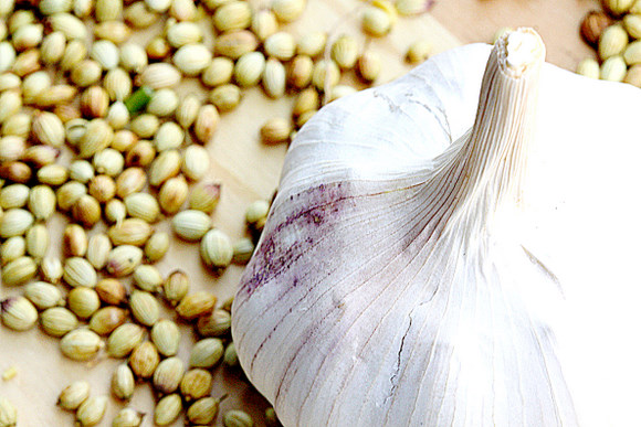 corianderseeds3