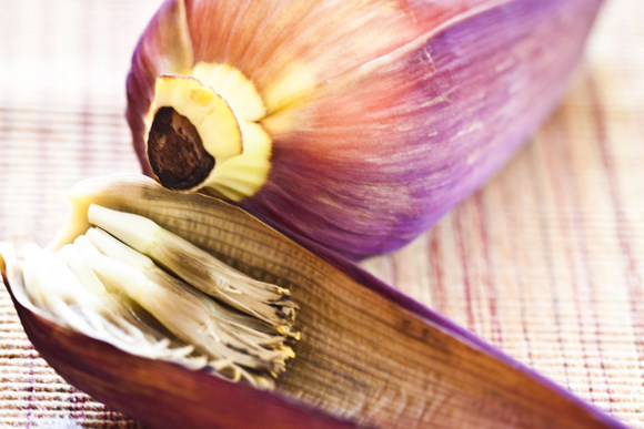 banana blossoms1