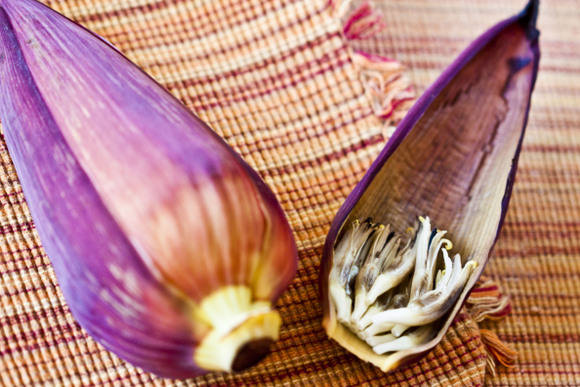 banana blossoms2-1