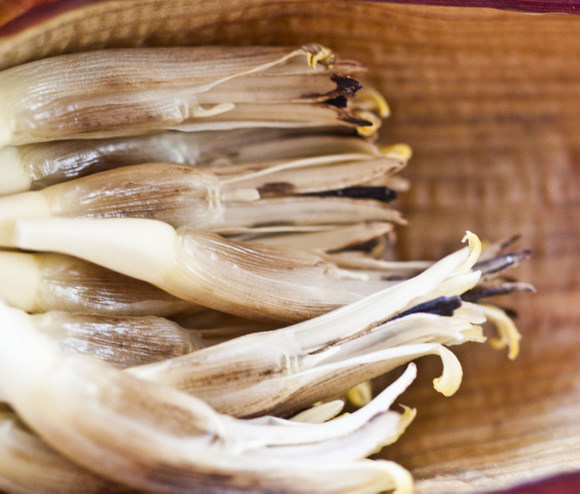banana blossoms8