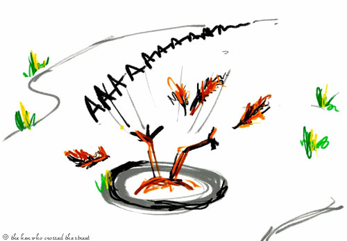 I live in a frying pan hen doodles